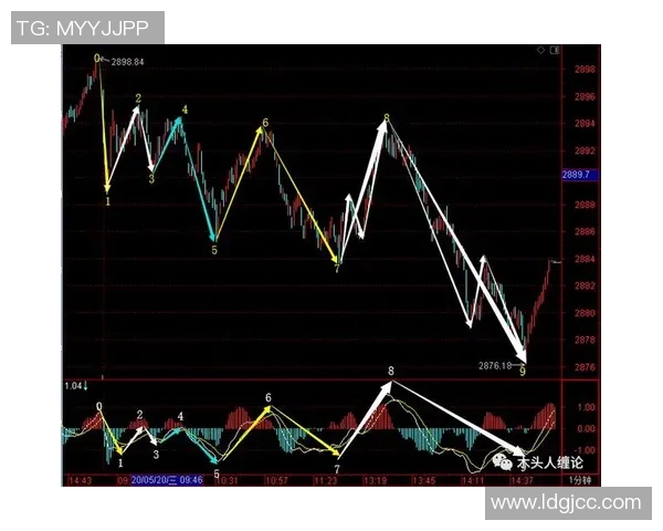 北京排球队包夹战术深度解析与实战应用探讨