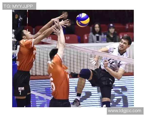 深圳排球队的转型升级之路探索与未来发展展望