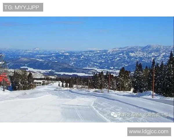 北海道勇士长野对决精彩纷呈赛季回顾与展望
